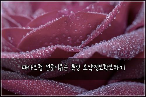 태아보험 선호이유는  특징 요약정보확보하기