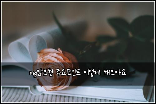 mg์๋ณดํ ์ฃผ์ํฌ์ธํธ ์ด๋ ๊ฒ ํด๋ณด์์