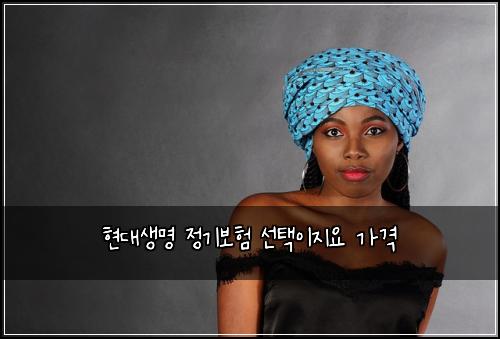 현대생명 정기보험 선택이지요  가격
