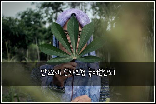 만22세 신차보험 놓쳐선안돼 
