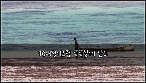40๋์ ๊ธฐ๋ณดํ ๋๋์ค๊ณ ๋ฐ๊ณ