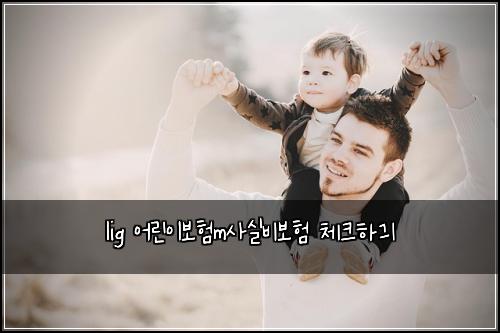 lig ์ด๋ฆฐ์ด๋ณดํm์ฌ์ค๋น๋ณดํ ์ฒดํฌํ๊ธ
