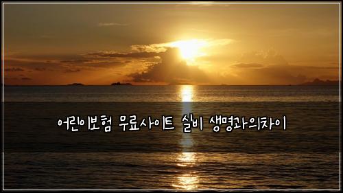 ์ด๋ฆฐ์ด๋ณดํ ๋ฌด๋ฃ์ฌ์ดํธ ์ค๋น ์๋ช
๊ณผ์์ฐจ์ด