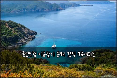 ์ข
์ ๋ณดํ ์ด์ ์ฐพ๊ธฐ ์ํด ๊ฒฌ์ 48์ธ๋์