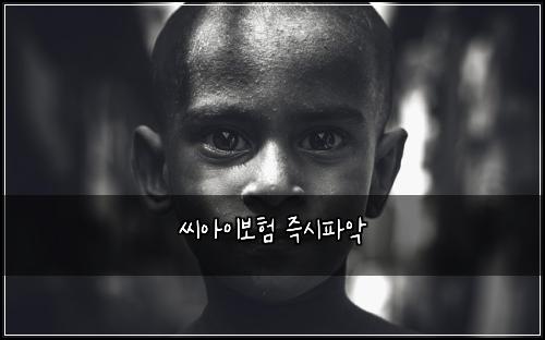 씨아이보험 즉시파악 