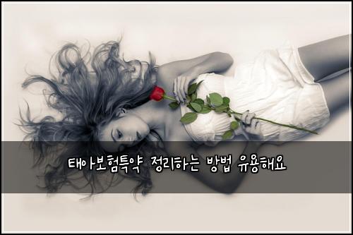 ํ์๋ณดํํน์ฝ ์ ๋ฆฌํ๋ ๋ฐฉ๋ฒ ์ ์ฉํด์