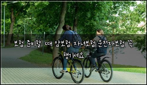 보험 준비할 때 암보험 자녀보험 운전자보험 꼭 챙기세요
