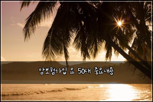 ์๋ณดํ๊ฐ์
์ 50๋ ์ค์๋ด์ฉ