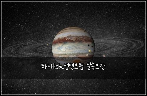 하나hsbc생명보험 실속보장 