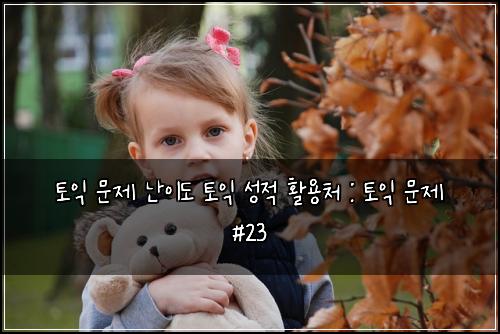 토익 문제 난이도 토익 성적 활용처 : 토익 문제 #23