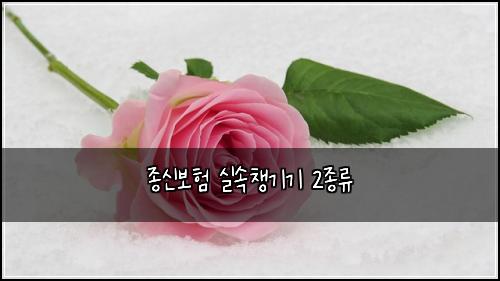 종신보험 실속챙기기  2종류