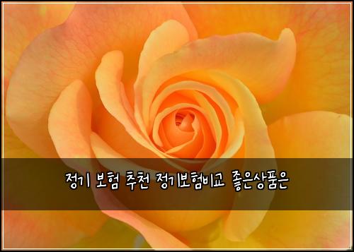 ์ ๊ธฐ ๋ณดํ ์ถ์ฒ ์ ๊ธฐ๋ณดํ๋น๊ต ์ข์์ํ์
