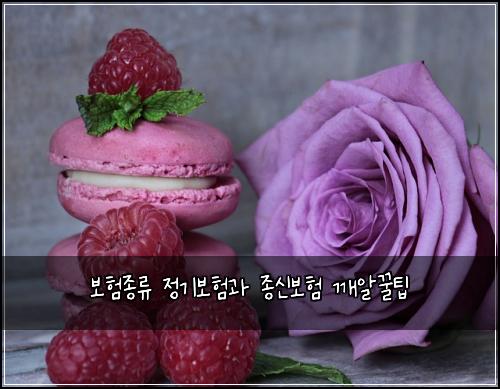 보험종류 정기보험과 종신보험 깨알꿀팁