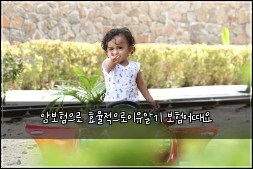 암보험으로 효율적으로이유알기 보험어때요