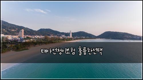 태아언청이보험 훌륭한선택 