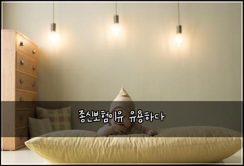 종신보험이유 유용하다