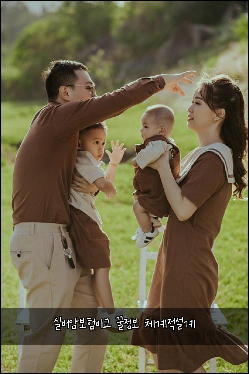 실버암보험비교 꿀정보 체계적설계