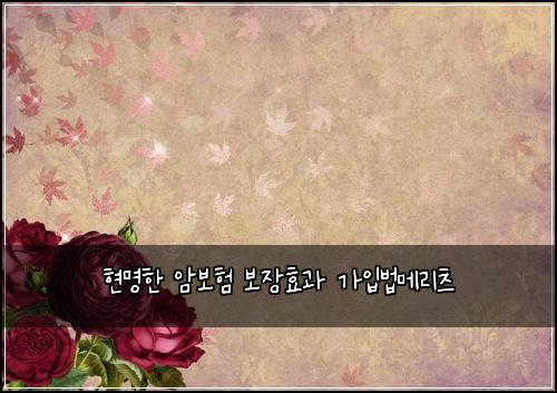 현명한 암보험 보장효과  가입법메리츠