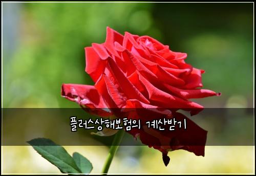 ํ๋ฌ์ค์ํด๋ณดํ์ ๊ณ์ฐ๋ฐ๊ธฐ