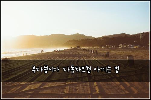 부자됩시다 자동차보험 아끼는 법