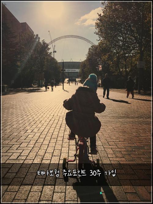 태아보험 주요포인트  30주 가입