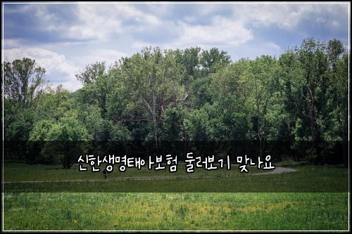 신한생명태아보험 둘러보기  맞나요