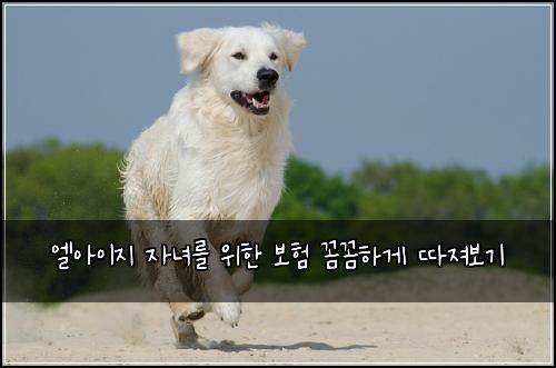 엘아이지 자녀를 위한 보험 꼼꼼하게 따져보기