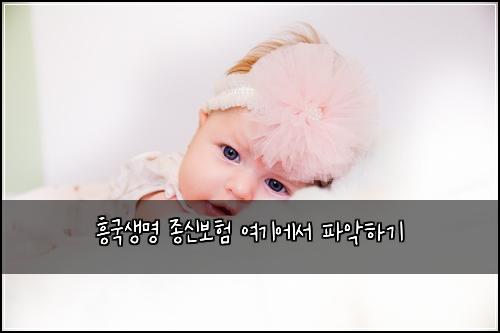 ํฅ๊ตญ์๋ช
์ข
์ ๋ณดํ ์ฌ๊ธฐ์์ ํ์
ํ๊ธฐ