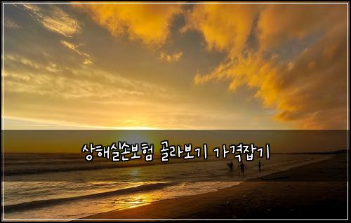 상해실손보험 골라보기  가격잡기