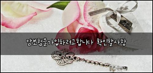 ์๋ณดํ์๊ฐ์
ํ๋ ค๊ณ ํฉ๋๋ค ํ์ธํ ์ฌํญ