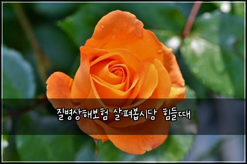 질병상해보험 살펴봅시당  힘들때