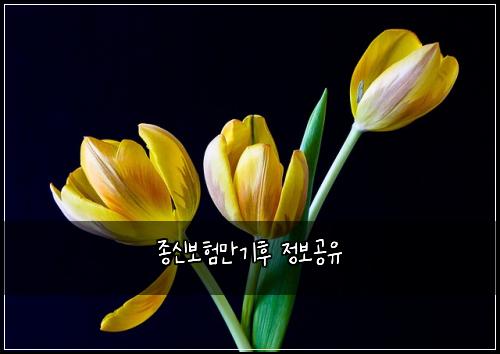 종신보험만기후 정보공유