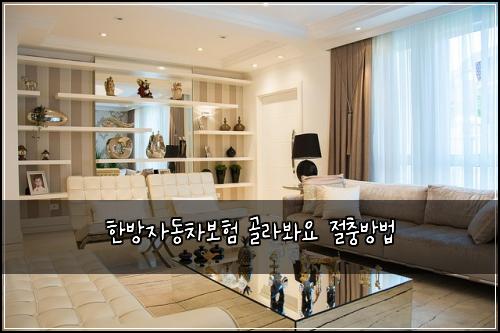 ํ๋ฐฉ์๋์ฐจ๋ณดํ ๊ณจ๋ผ๋ด์ ์ ์ถฉ๋ฐฉ๋ฒ