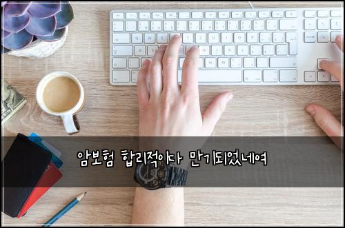 암보험 합리적이다  만기되었네여