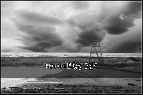 νμμ기보νμ ν¬μΈνΈ