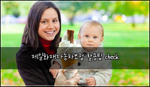 제일화재자동차보험 활용팁  check