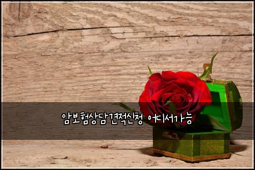 암보험상담견적신청 어디서가능