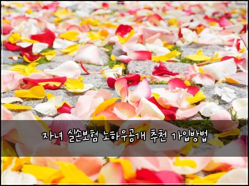 ์๋
์ค์๋ณดํ ๋
ธํ์ฐ๊ณต๊ฐ ์ถ์ฒ ๊ฐ์
๋ฐฉ๋ฒ