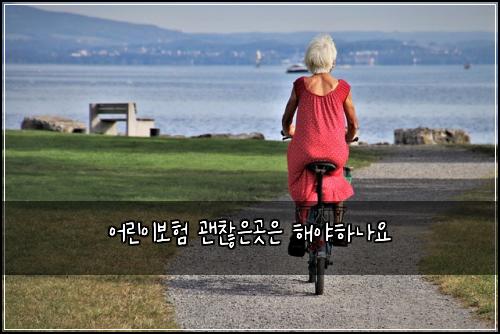 어린이보험 괜찮은곳은  해야하나요