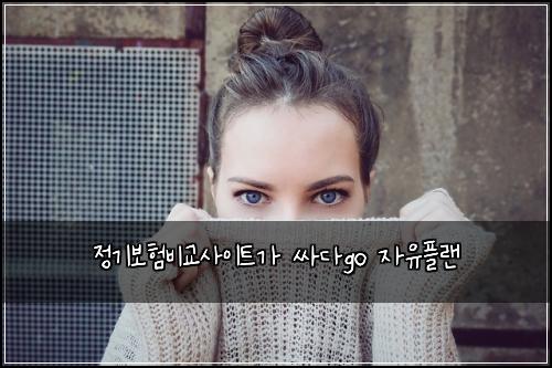 정기보험비교사이트가 싸다go 자유플랜