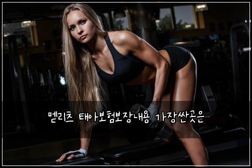 ๋ฉ๋ฆฌ์ธ ํ์๋ณดํ๋ณด์ฅ๋ด์ฉ ๊ฐ์ฅ์ผ๊ณณ์