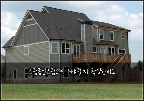 ๋ณดํ์ข
์ ๋ณดํ์ผ๋ก๊ฐ์ผํ ์ง ์ฐฉ์คํ๋น๊ต