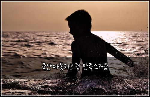 국산자동차보험 만족스러움 