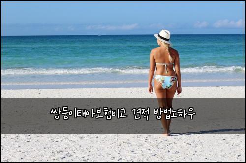 쌍둥이태아보험비교 견적 방법노하우