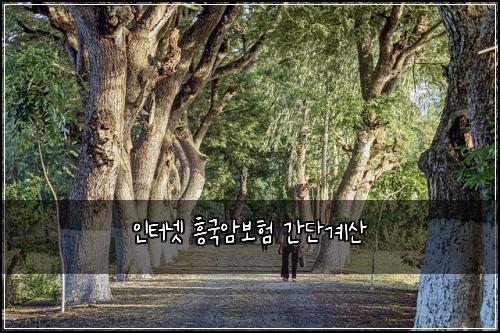 ์ธํฐ๋ท ํฅ๊ตญ์๋ณดํ ๊ฐ๋จ๊ณ์ฐ