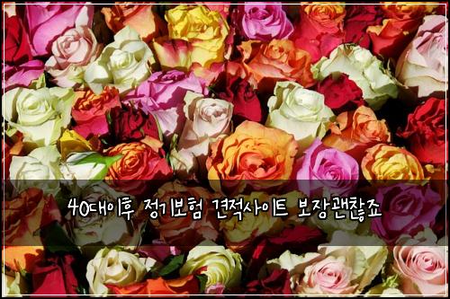 40대이후 정기보험 견적사이트  보장괜찮죠