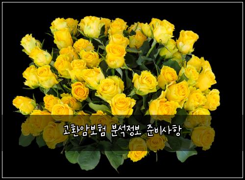 ๊ณ ํ์๋ณดํ ๋ถ์์ ๋ณด ์ค๋น์ฌํญ