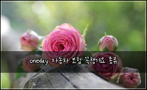 oneday 자동차 보험 꼭챙겨요  종류