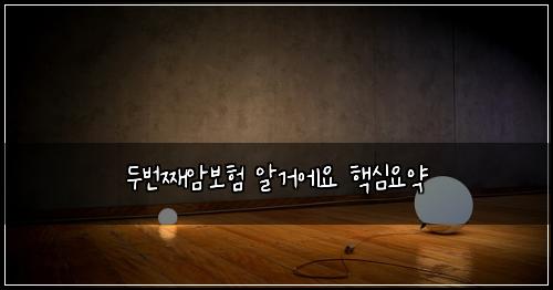 두번째암보험 알거에요  핵심요약