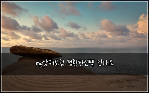 mg상해보험 정확한선택  인가요